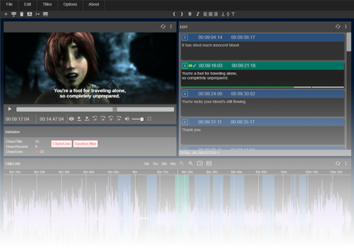 Screenshot of subtitle editor